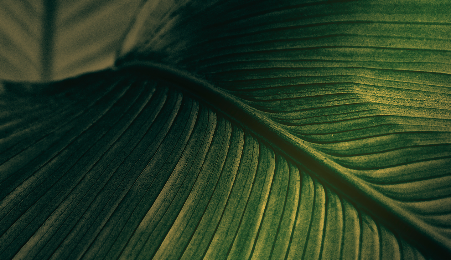 City Urbanismo - Uma nova forma de viver o extraordinário